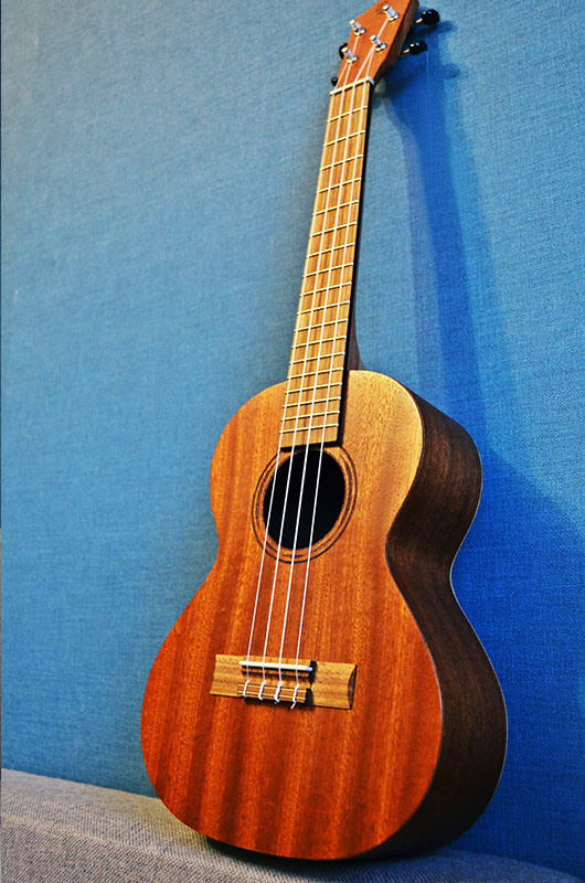 Zestaw 10-ciu ukulele na warsztaty - obrazek 4