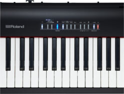 Roland fp30