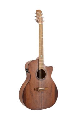 Gitara Randon RGI 14vt CE.