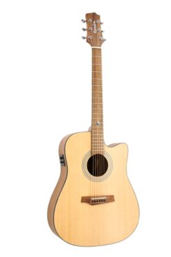 Gitara Randon RGI-01 CE