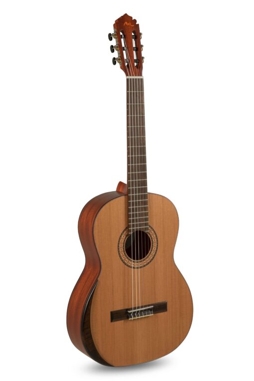 Manuel Rodriguez TRADICÍON Series T-65 (gitara klasyczna 4/4 z litego cedru) - obrazek 2