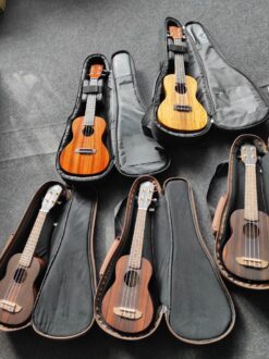 Zestaw 10-ciu ukulele na warsztaty