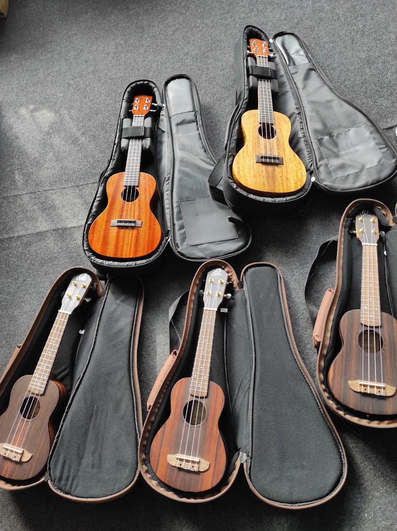 Zestaw 10-ciu ukulele na warsztaty